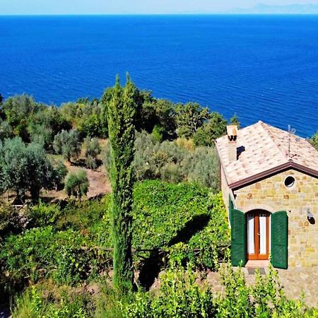 Bellezza In Cilento Panoramic Apts 卡斯特拉巴特 外观 照片