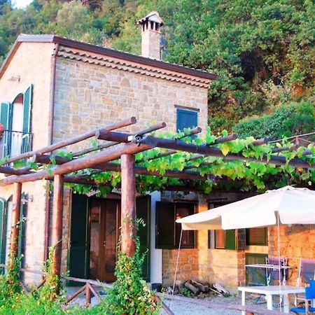 Bellezza In Cilento Panoramic Apts 卡斯特拉巴特 外观 照片