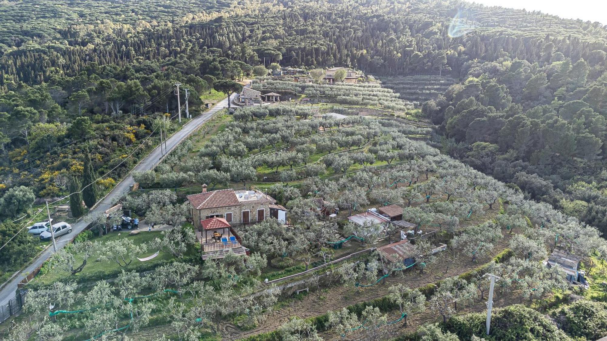 Bellezza In Cilento Panoramic Apts 卡斯特拉巴特 外观 照片