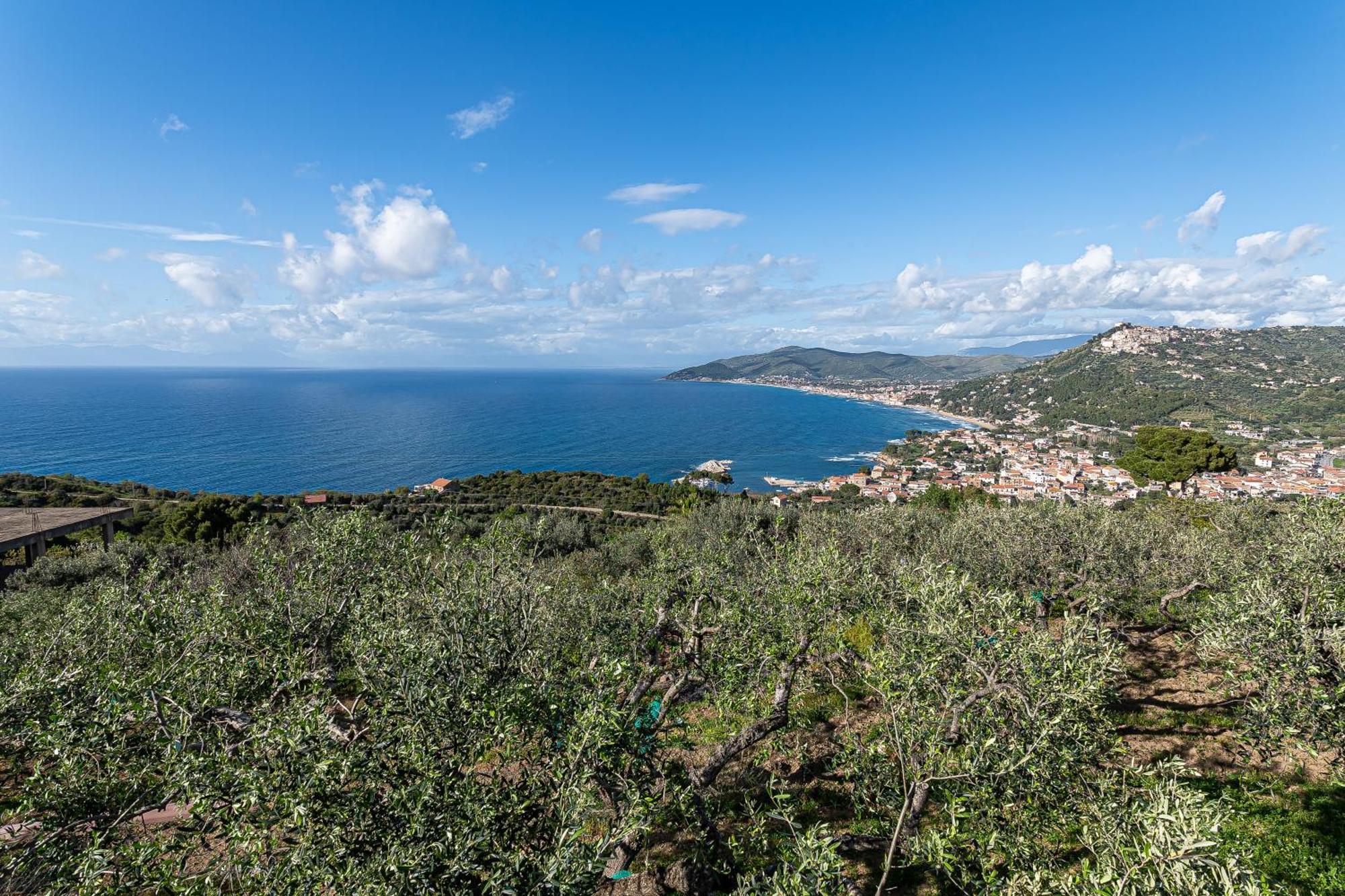Bellezza In Cilento Panoramic Apts 卡斯特拉巴特 外观 照片