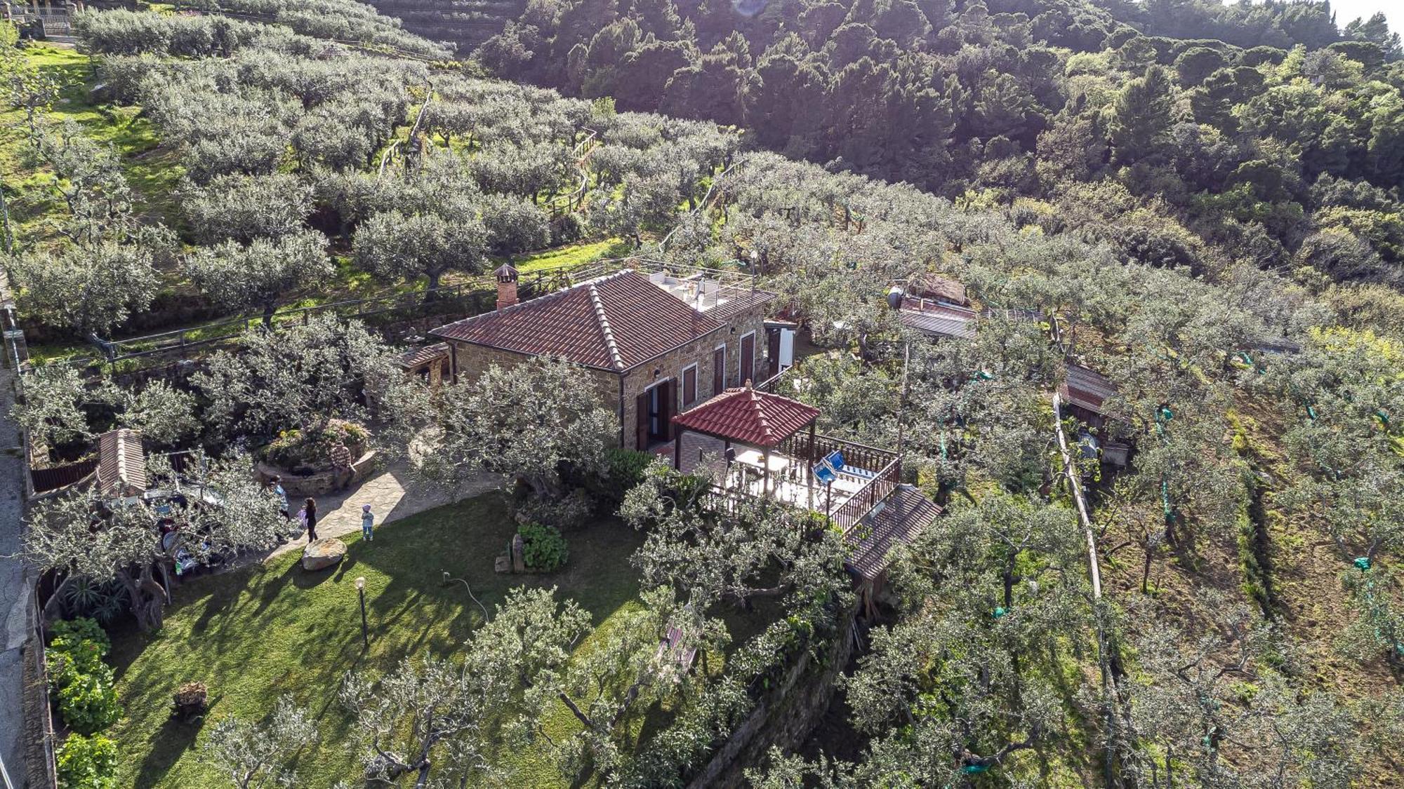 Bellezza In Cilento Panoramic Apts 卡斯特拉巴特 外观 照片