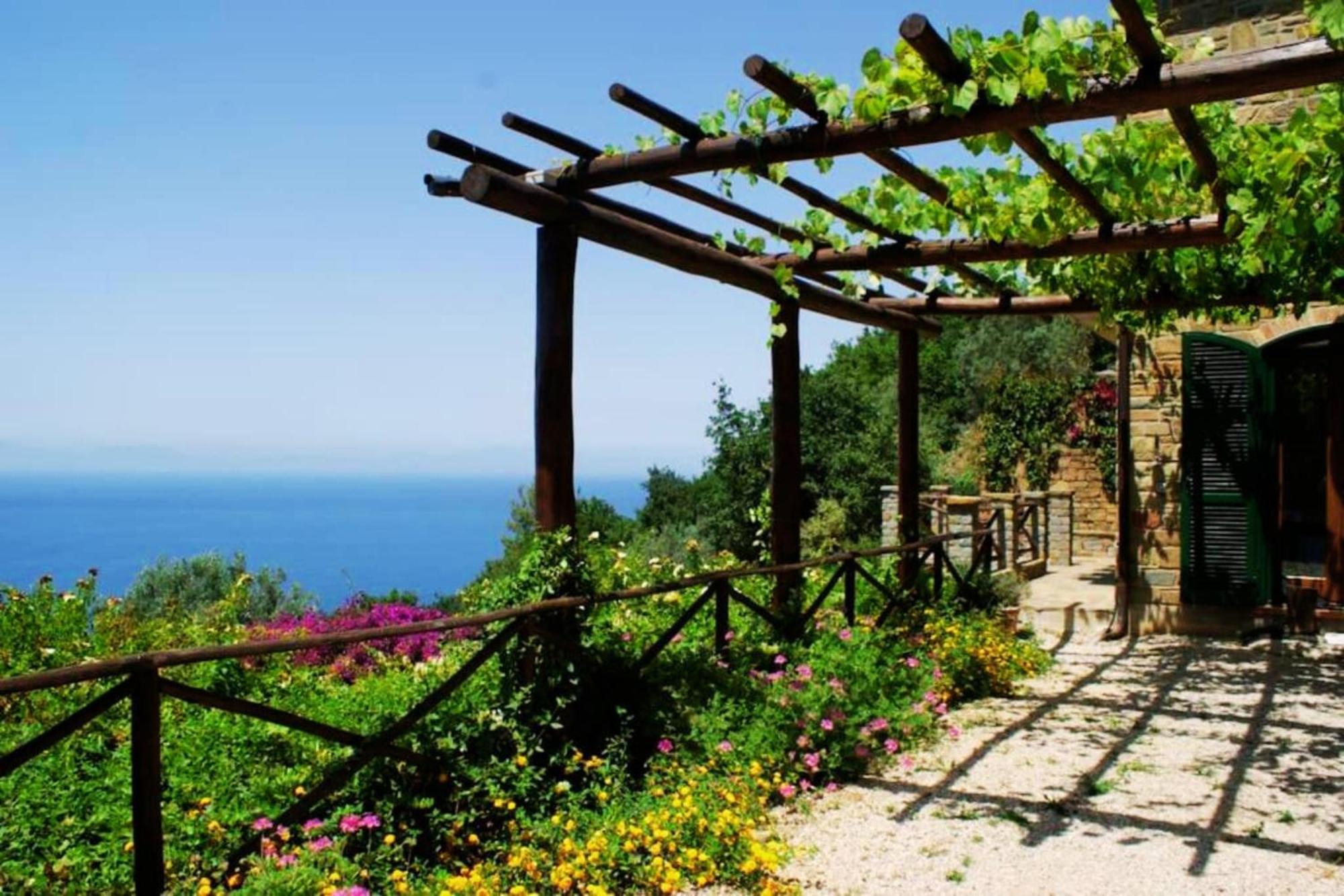 Bellezza In Cilento Panoramic Apts 卡斯特拉巴特 外观 照片